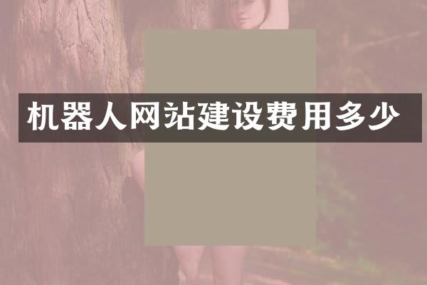 机器人网站建设费用多少