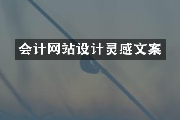 会计网站设计灵感文案
