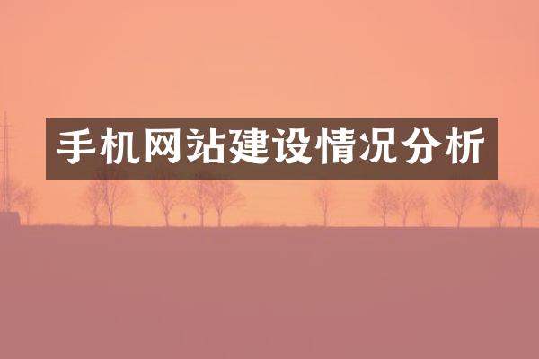 手机网站建设情况分析