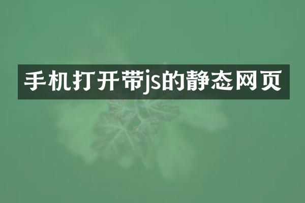 手机打开带js的静态网页