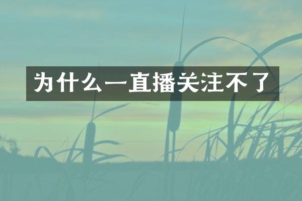 为什么一直播关注不了