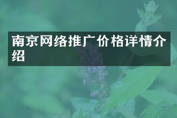 南京网络推广价格详情介绍