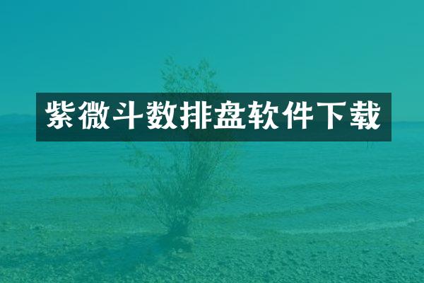 紫微斗数排盘软件下载