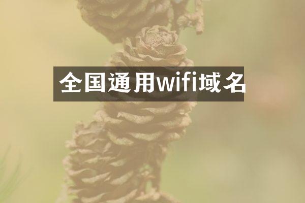 全国通用wifi域名