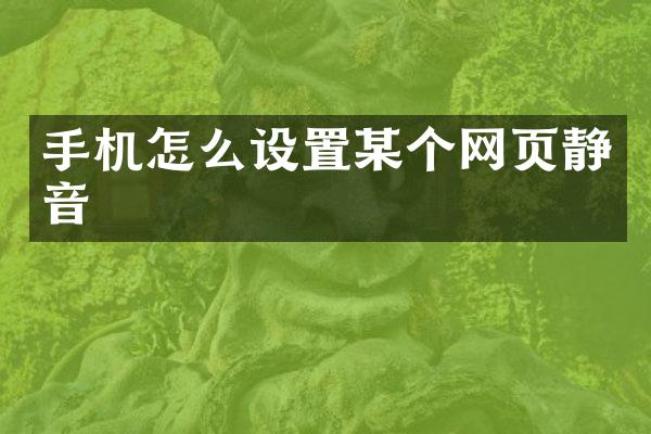 手机怎么设置某个网页静音