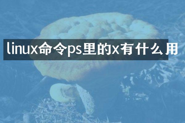 linux命令ps里的x有什么用