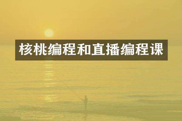 核桃编程和直播编程课
