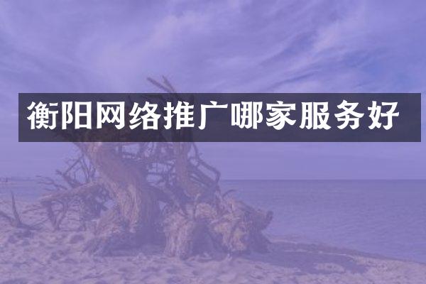 衡阳网络推广哪家服务好