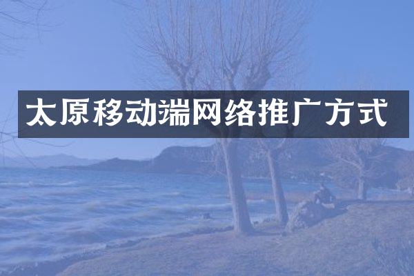 太原移动端网络推广方式