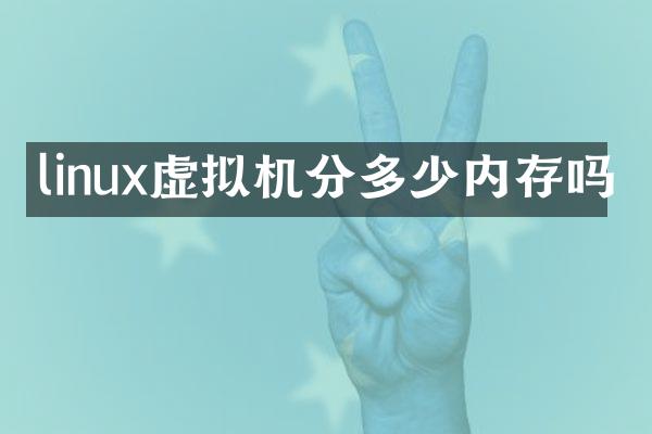 linux虚拟机分多少内存吗