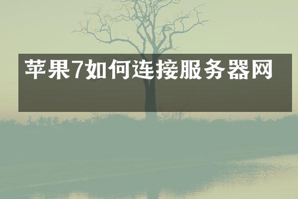 苹果7如何连接服务器网络