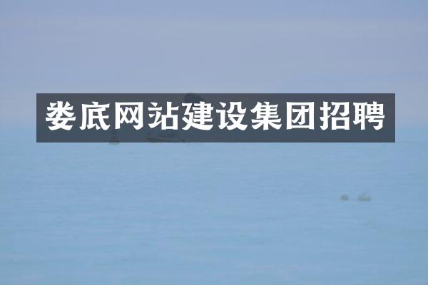 娄底网站建设集团招聘