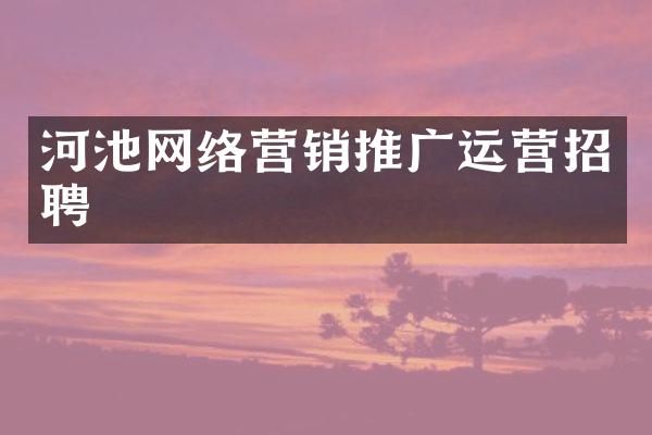 河池网络营销推广运营招聘