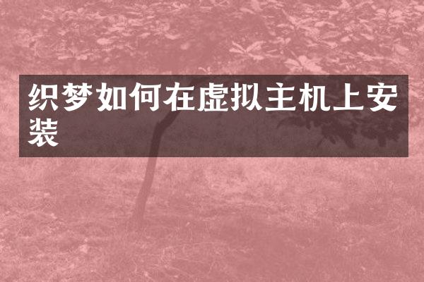 织梦如何在虚拟主机上安装