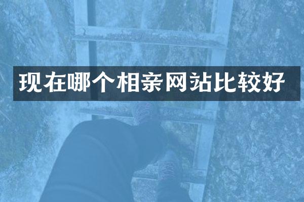 现在哪个相亲网站比较好