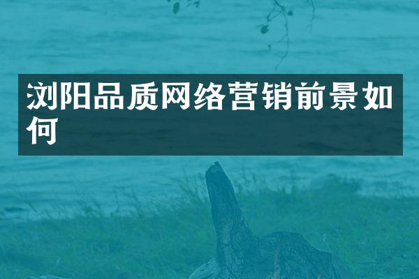 浏阳品质网络营销前景如何