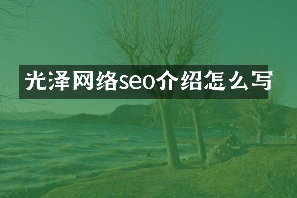 光泽网络seo介绍怎么写