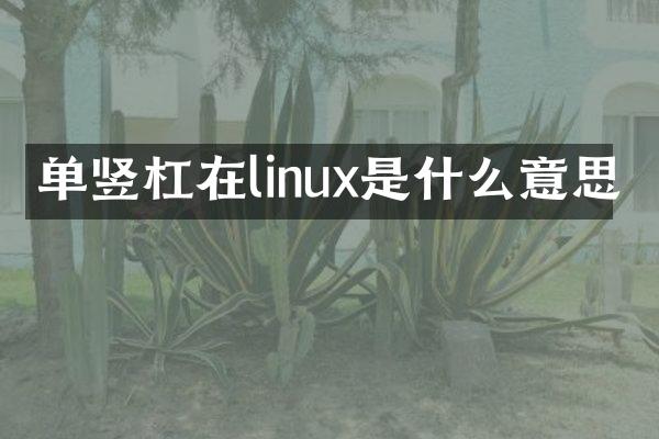 单竖杠在linux是什么意思