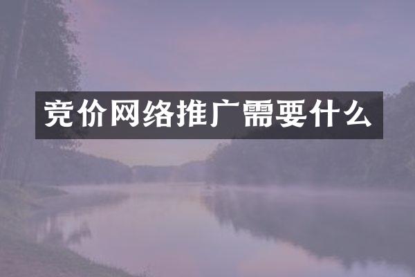 竞价网络推广需要什么