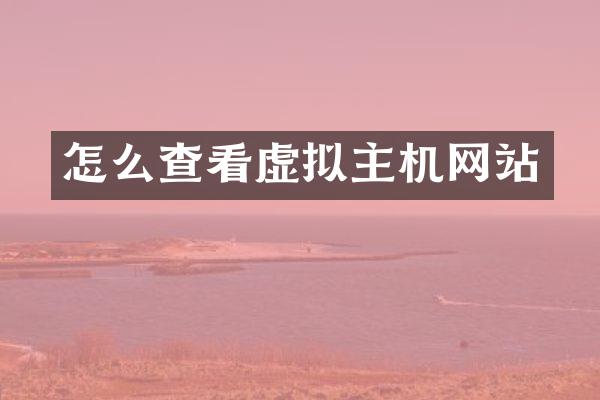 怎么查看虚拟主机网站