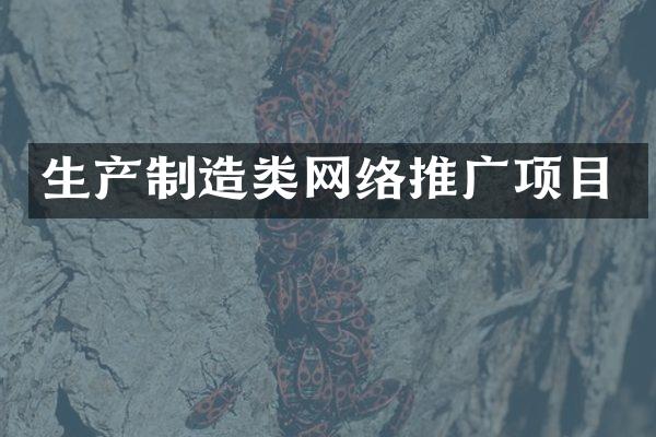 生产制造类网络推广项目