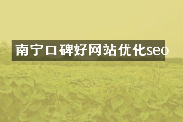 南宁口碑好网站优化seo
