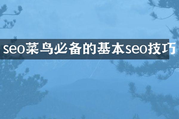 seo菜鸟必备的基本seo技巧