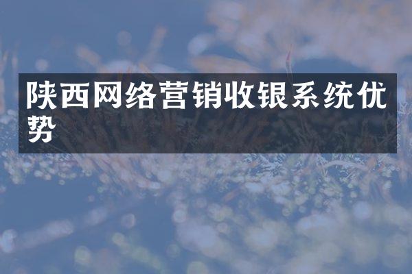 陕西网络营销收银系统优势