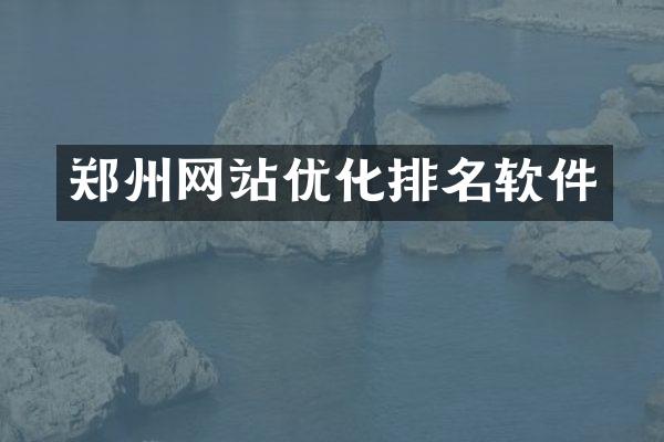 郑州网站优化排名软件