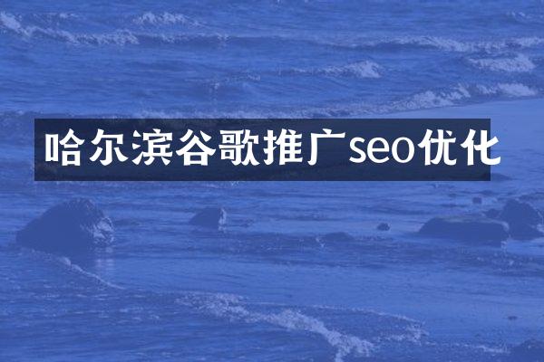 哈尔滨谷歌推广seo优化