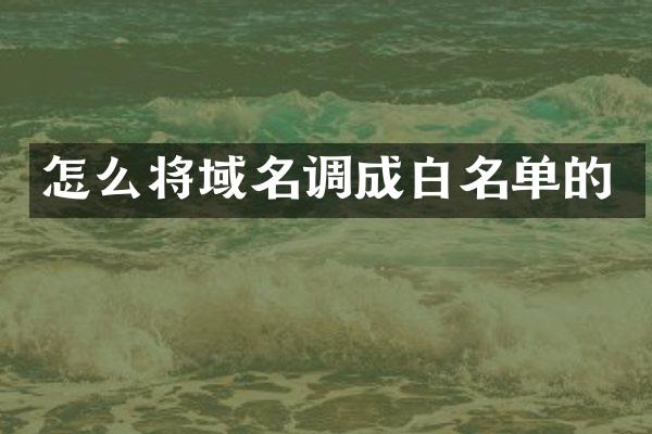 怎么将域名调成白名单的