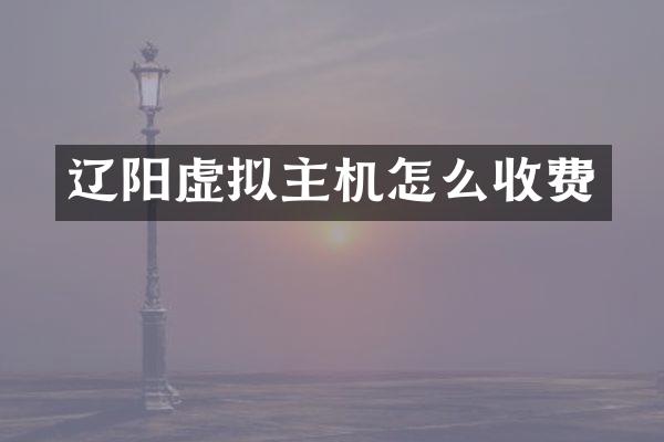 辽阳虚拟主机怎么收费