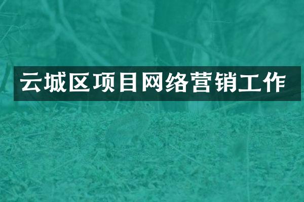 云城区项目网络营销工作