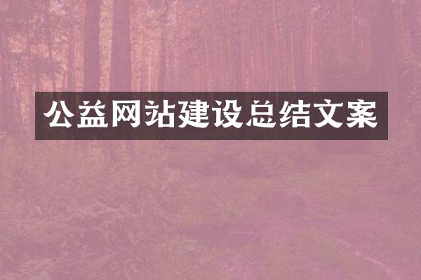 公益网站建设总结文案