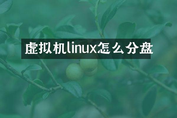 虚拟机linux怎么分盘