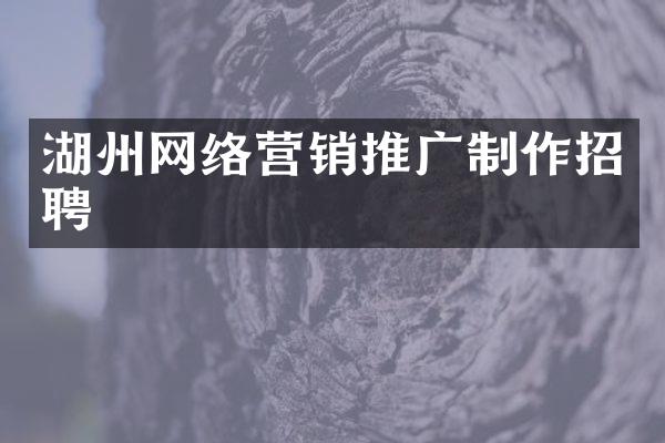 湖州网络营销推广制作招聘