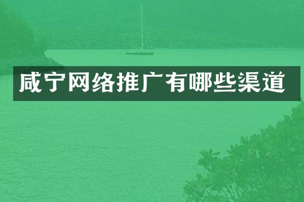咸宁网络推广有哪些渠道