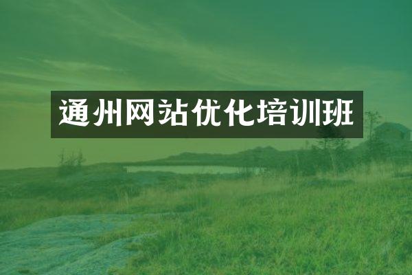 通州网站优化培训班