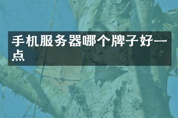 手机服务器哪个牌子好一点