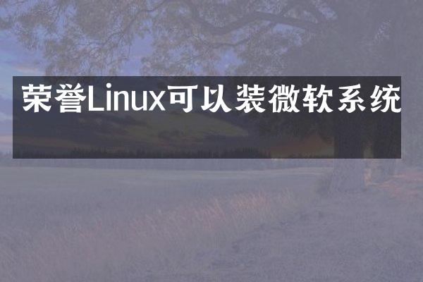 荣誉Linux可以装微软系统吗
