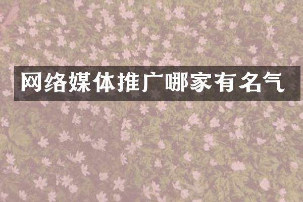 网络媒体推广哪家有名气