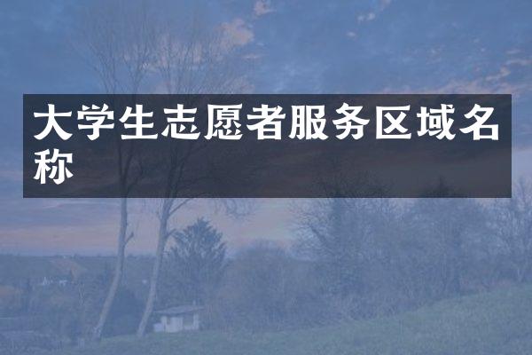 大学生志愿者服务区域名称