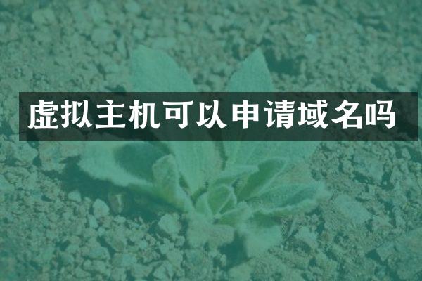 虚拟主机可以申请域名吗
