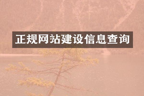 正规网站建设信息查询