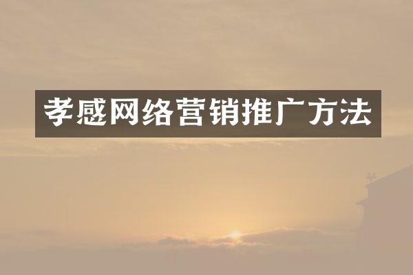 孝感网络营销推广方法