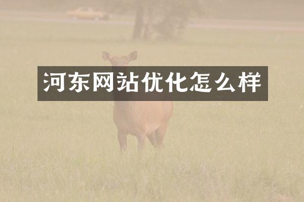 河东网站优化怎么样