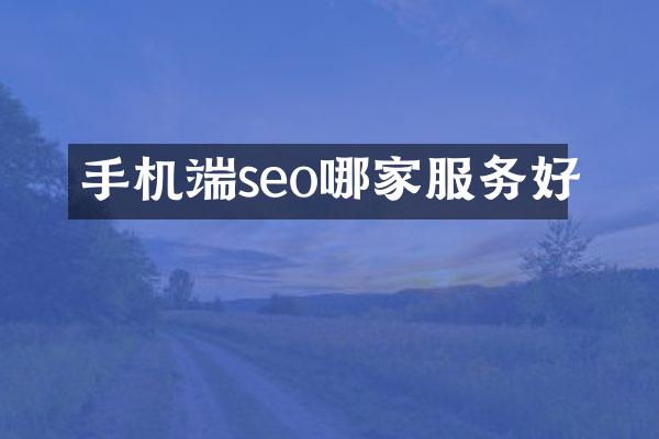手机端seo哪家服务好