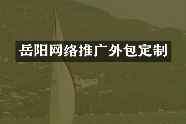岳阳网络推广外包定制