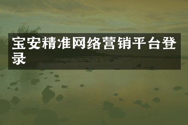宝安精准网络营销平台登录
