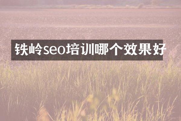 铁岭seo培训哪个效果好